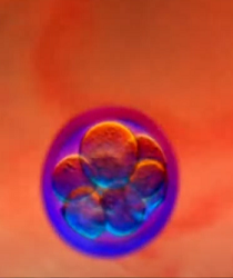 "And certainly did we create man from an extract of clay"